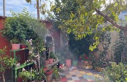 Casă P+1 cu toate utilitățile și teren de 303 mp, zona stadionului Ion Oblemenco