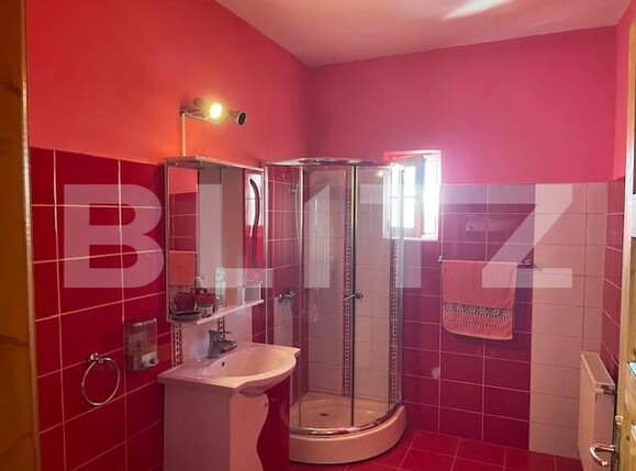 Casa de vânzare 4 camere Lascar Catargiu - 156482CV | BLITZ Craiova | Poza9