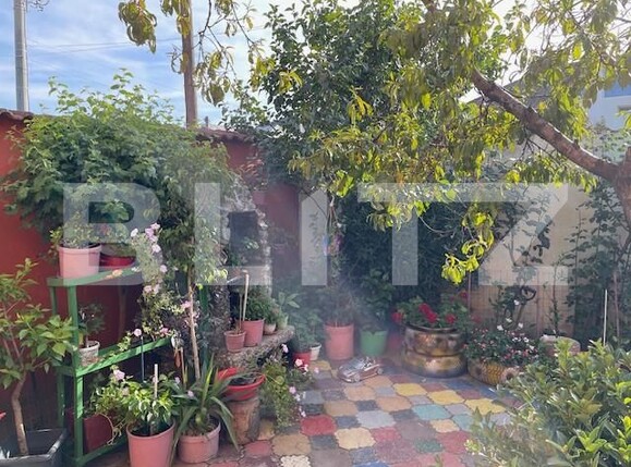 Casa de vânzare 4 camere Lascar Catargiu - 156482CV | BLITZ Craiova | Poza13