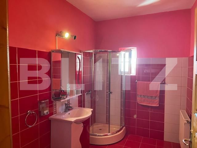 Casa de vânzare 4 camere Lascar Catargiu - 156482CV | BLITZ Craiova | Poza9