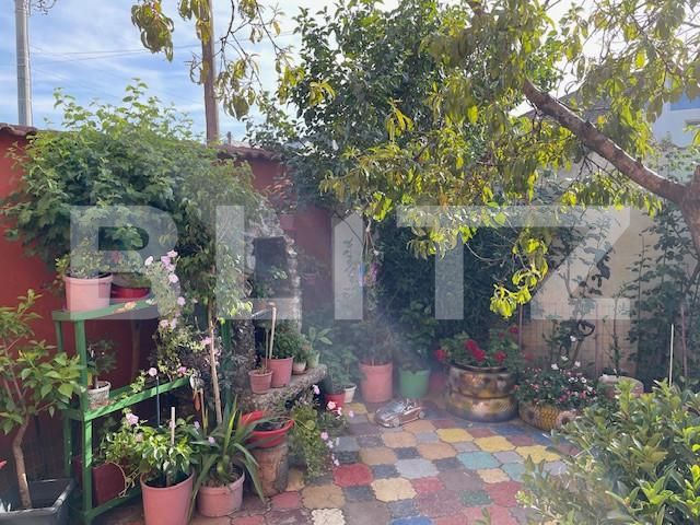 Casa de vânzare 4 camere Lascar Catargiu - 156482CV | BLITZ Craiova | Poza13