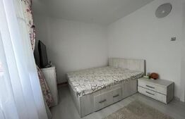 Apartament cu 2 camere, 55 mp, mobilat modern, cu centrală termică, zona Brazdă