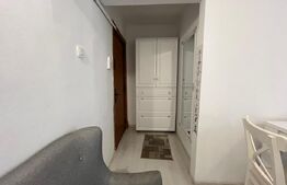 Apartament cu 2 camere, 55 mp, mobilat modern, cu centrală termică, zona Brazdă