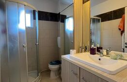 Apartament cu 2 camere, 55 mp, mobilat modern, cu centrală termică, zona Brazdă