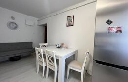 Apartament cu 2 camere, 55 mp, mobilat modern, cu centrală termică, zona Brazdă