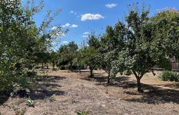 Teren intravilan 2080 mp, toate utilitățile la front, zona Aqua Park