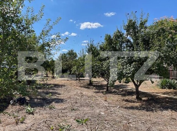 Teren de vânzare Mofleni - 156604TV | BLITZ Craiova | Poza2