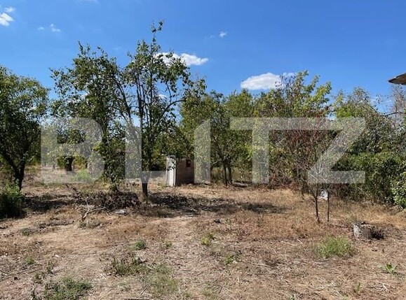 Teren de vânzare Mofleni - 156604TV | BLITZ Craiova | Poza4