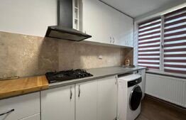 Apartament cu 2 camere, AC, modern, lângă English Park