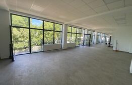 Spațiu birouri, construcție nouă, parcare privată, Brazda Lui Novac