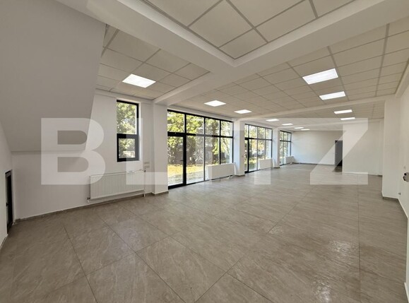 Spațiu birouri de închiriat Brazda lui Novac - 156724SIB | BLITZ Craiova | Poza1