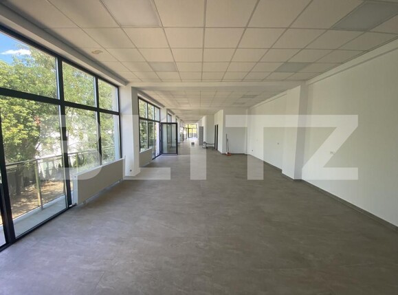 Spațiu birouri de închiriat Brazda lui Novac - 156724SIB | BLITZ Craiova | Poza2