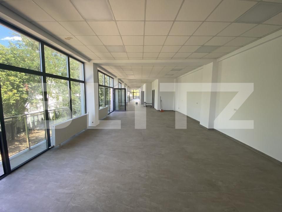 Spațiu birouri de închiriat Brazda lui Novac - 156724SIB | BLITZ Craiova | Poza2