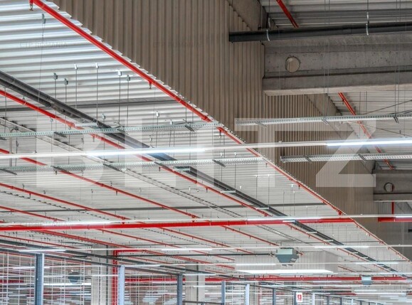 Spațiu industrial de închiriat Est - 156731SII | BLITZ Craiova | Poza4