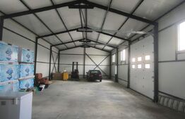 Teren industrial  5000 mp cu 2 hale 400 mp, in Isalnita, cu deschidere la E79