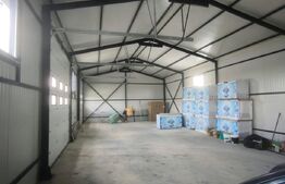 Teren industrial  5000 mp cu 2 hale 400 mp, in Isalnita, cu deschidere la E79