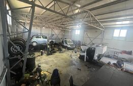 Teren 5000 mp cu hala de 280 mp in Isalnita, cu deschidere la E79