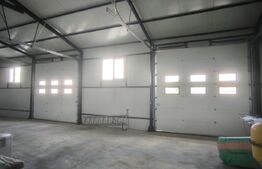 Teren industrial  5000 mp cu 2 hale 400 mp, in Isalnita, cu deschidere la E79