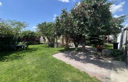 Casa P+ M, zona Romanesti, 495 mp teren