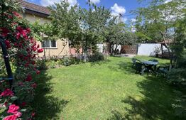 Casa P+ M, zona Romanesti, 495 mp teren