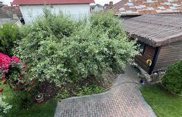 Casa P+ M, zona Romanesti, 495 mp teren