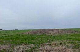 Teren 7000mp la Peugeot in proximitatea zonei de agrement Vlasca 