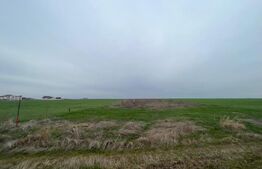 Teren 7000mp la Peugeot in proximitatea zonei de agrement Vlasca 