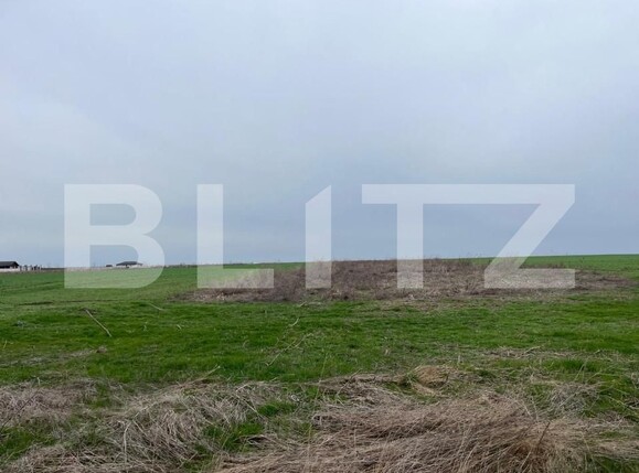 Teren de vânzare Pielești - 156934TV | BLITZ Craiova | Poza3