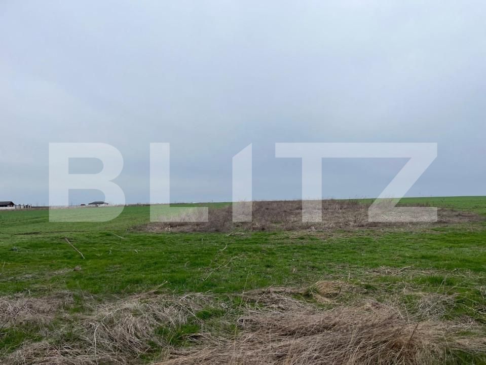 Teren de vânzare Pielești - 156934TV | BLITZ Craiova | Poza3