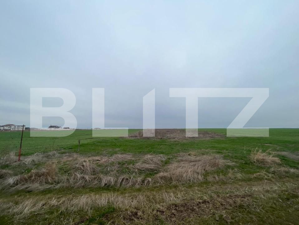 Teren de vânzare Pielești - 156934TV | BLITZ Craiova | Poza2