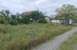 Teren intravilan 2500mp, Malu Mare!