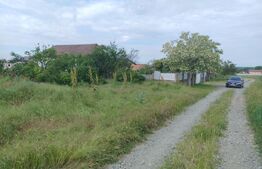 Teren intravilan 2500mp, Malu Mare!
