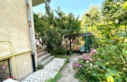 Casa D+P+E, 285 mp teren, zona Centrala, Sfintii Apostoli