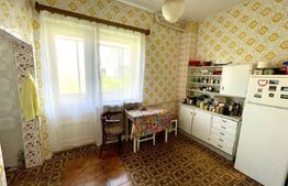 Casa D+P+E, 285 mp teren, zona Centrala, Sfintii Apostoli