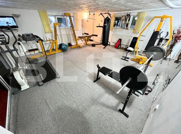 Casa de vânzare 10 camere Valea Rosie - 156949CV | BLITZ Craiova | Poza16