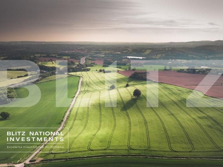 Casa de vânzare 5 camere Siloz - 156953CV | BLITZ Craiova | Poza6