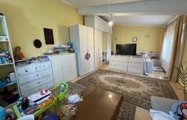 Oportunitate! Proprietate P+M ,teren de 228 mp, zona Traian Vuia