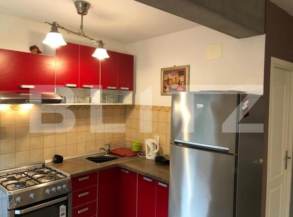 Casa de închiriat 2 camere Central - 156965CI | BLITZ Craiova | Poza9