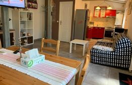 Casa spatioasa la pret de apartament, 76 mp, curte, zona Centrala!