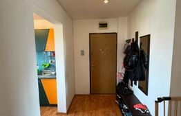 Apartament 2 camere, 48mp, Zona Sarari