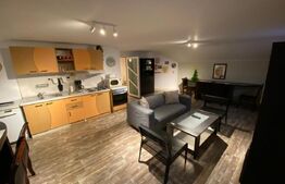 Apartament in vila, 3 camere, 90 mp, zona Calea Severinului