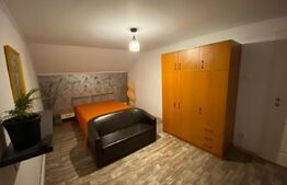 Apartament in vila, 3 camere, 90 mp, zona Calea Severinului