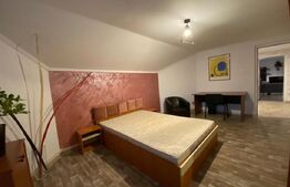 Apartament in vila, 3 camere, 90 mp, zona Calea Severinului