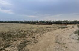 Teren intravilan Hamat 532 mp cu front 17,27 ml