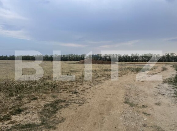 Teren de vânzare Carcea  - 157111TV | BLITZ Craiova | Poza1