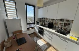 Garsonieră Modernă, cartierul Brestei 