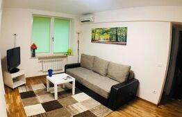 Apartament 2 camere, investitie, zona Maestro, Centru 