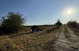 Teren IV 12.227 mp, platformă betonată, minifotbal, teren agricol, loc. Milovan