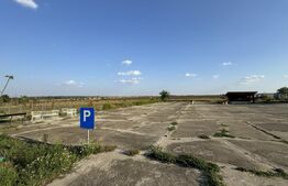 Teren IV 12.227 mp, platformă betonată, minifotbal, teren agricol, loc. Milovan