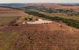 Teren IV 12.227 mp, platformă betonată, minifotbal, teren agricol, loc. Milovan